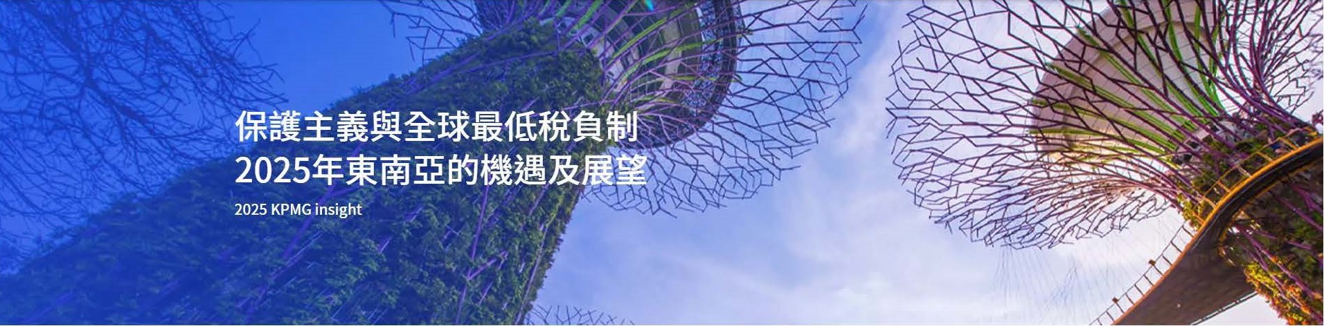 保護主義與全球最低稅負制 2025年東南亞的機遇及展望